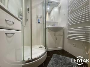 Pronájem bytu 1+1, Olomouc, 37 m2