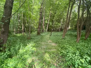 Prodej rodinného domu, Vrané nad Vltavou, Pod Březovou, 200 m2