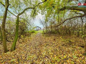 Prodej pozemku pro bydlení, Nová Ves, U Lesíka, 1023 m2