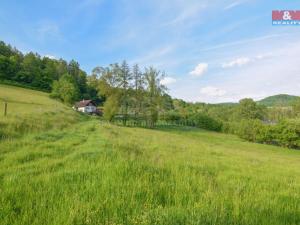 Prodej chalupy, Starý Šachov, 100 m2