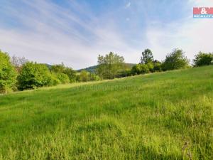 Prodej chalupy, Starý Šachov, 100 m2