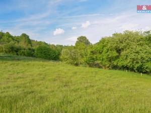 Prodej chalupy, Starý Šachov, 100 m2