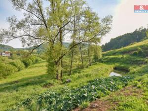 Prodej chalupy, Starý Šachov, 100 m2