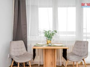 Pronájem bytu 1+kk, Hradec Králové - Slezské Předměstí, Třebechovická, 35 m2