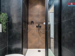 Pronájem bytu 1+kk, Hradec Králové - Slezské Předměstí, Třebechovická, 35 m2