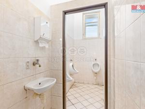 Prodej rodinného domu, Žlebské Chvalovice, 280 m2