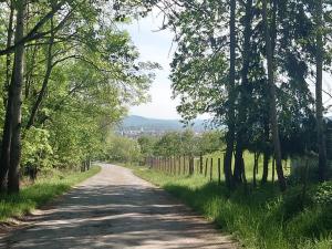 Prodej - jiné, Rokycany, Čilina, 17 m2
