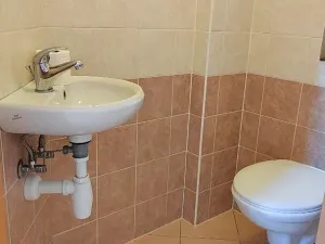 Pronájem bytu 3+kk, Blovice, Hradišťská, 66 m2
