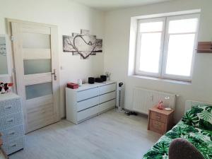 Pronájem bytu 2+kk, Janovice nad Úhlavou, Rozvojová zóna, 44 m2