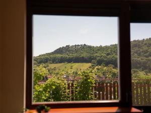 Prodej rodinného domu, Mikulov, Vinohrady, 120 m2