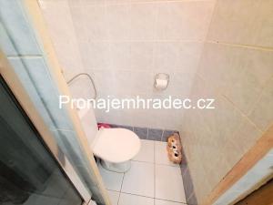 Pronájem bytu 1+kk, Rychnov nad Kněžnou, Mírová, 30 m2