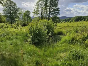Prodej rodinného domu, Rynoltice, 250 m2