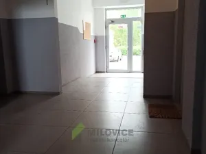 Prodej bytu 1+1, Milovice, Višňová, 34 m2