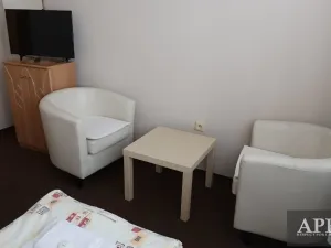 Pronájem bytu 1+kk, Uherský Brod, Mariánské nám., 25 m2