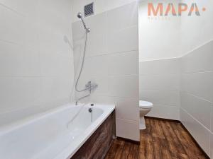 Pronájem bytu 1+1, Chomutov, Písečná, 36 m2