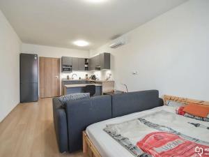 Pronájem bytu 1+kk, Olomouc, Věry Pánkové, 34 m2