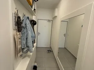 Prodej bytu 1+kk, Praha - Karlín, U Mlýnského kanálu, 28 m2