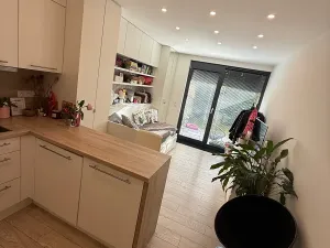 Prodej bytu 1+kk, Praha - Karlín, U Mlýnského kanálu, 28 m2