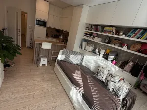 Prodej bytu 1+kk, Praha - Karlín, U Mlýnského kanálu, 28 m2
