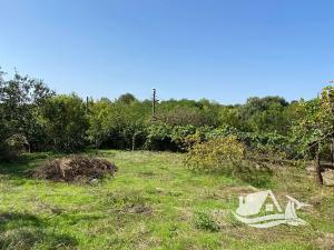 Prodej rodinného domu, Izvorovo, Bulharsko, 64 m2