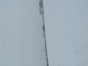 Dražba pole, Čejkovice, 4000 m2