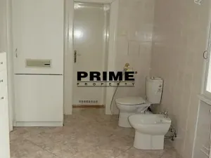 Pronájem bytu 6+kk a větší, Praha - Střešovice, Slunná, 270 m2