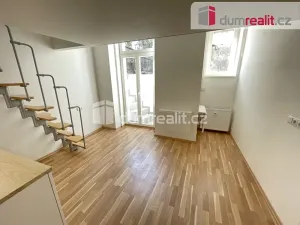 Pronájem bytu 1+kk, Praha - Smíchov, Radlická, 25 m2