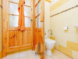 Pronájem komerční nemovitosti, Lažánky, 500 m2