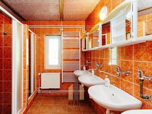 Pronájem komerční nemovitosti, Lažánky, 500 m2