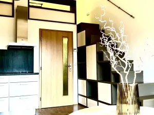 Pronájem bytu 1+kk, Praha - Smíchov, Jindřicha Plachty, 30 m2