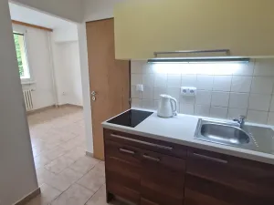 Pronájem bytu 1+1, Kolín, Funkeho, 19 m2