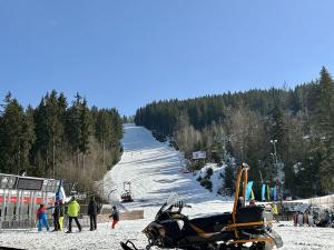 Prodej bytu 1+kk, Špindlerův Mlýn, 41 m2