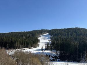 Prodej bytu 1+kk, Špindlerův Mlýn, 41 m2