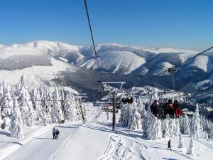 Prodej bytu 1+kk, Špindlerův Mlýn, 41 m2