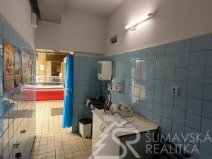 Prodej obchodního prostoru, Chanovice, 319 m2