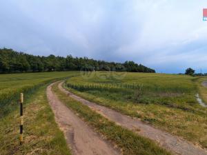 Prodej pole, Dobev - Malé Nepodřice, 32652 m2