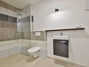 Pronájem bytu 2+kk, Brno, Čejkova, 60 m2