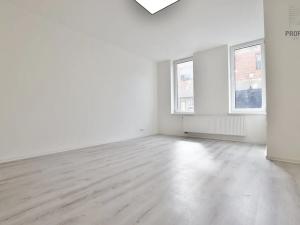 Pronájem bytu 2+kk, Brno, Čejkova, 40 m2
