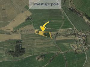 Prodej louky, Osek - Malá Turná, 7776 m2