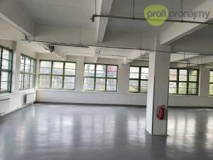 Pronájem skladu, Zlín, Šedesátá, 230 m2