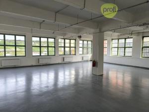 Pronájem skladu, Zlín, Šedesátá, 230 m2