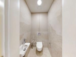 Pronájem bytu 2+kk, Praha - Vinohrady, Vinohradská, 55 m2