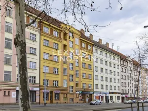 Prodej bytu 2+kk, Praha - Žižkov, Hartigova, 55 m2