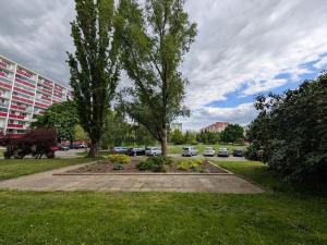 Pronájem bytu 3+kk, Mladá Boleslav, Jana Palacha, 67 m2