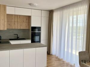 Pronájem bytu 2+kk, Ostrava - Moravská Ostrava, F. X. Riepla, 58 m2
