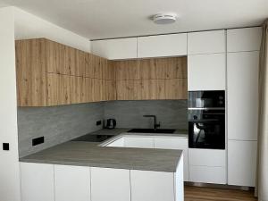 Pronájem bytu 2+kk, Ostrava - Moravská Ostrava, F. X. Riepla, 58 m2