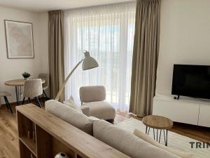 Pronájem bytu 2+kk, Ostrava - Moravská Ostrava, F. X. Riepla, 58 m2