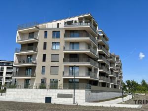 Pronájem bytu 2+kk, Ostrava - Moravská Ostrava, F. X. Riepla, 58 m2