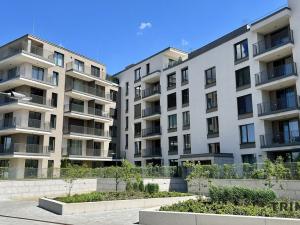 Pronájem bytu 2+kk, Ostrava - Moravská Ostrava, F. X. Riepla, 58 m2