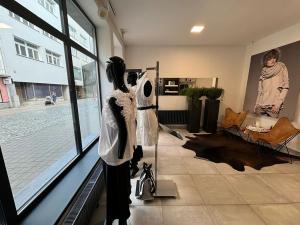 Pronájem obchodního prostoru, Zlín, Rašínova, 135 m2